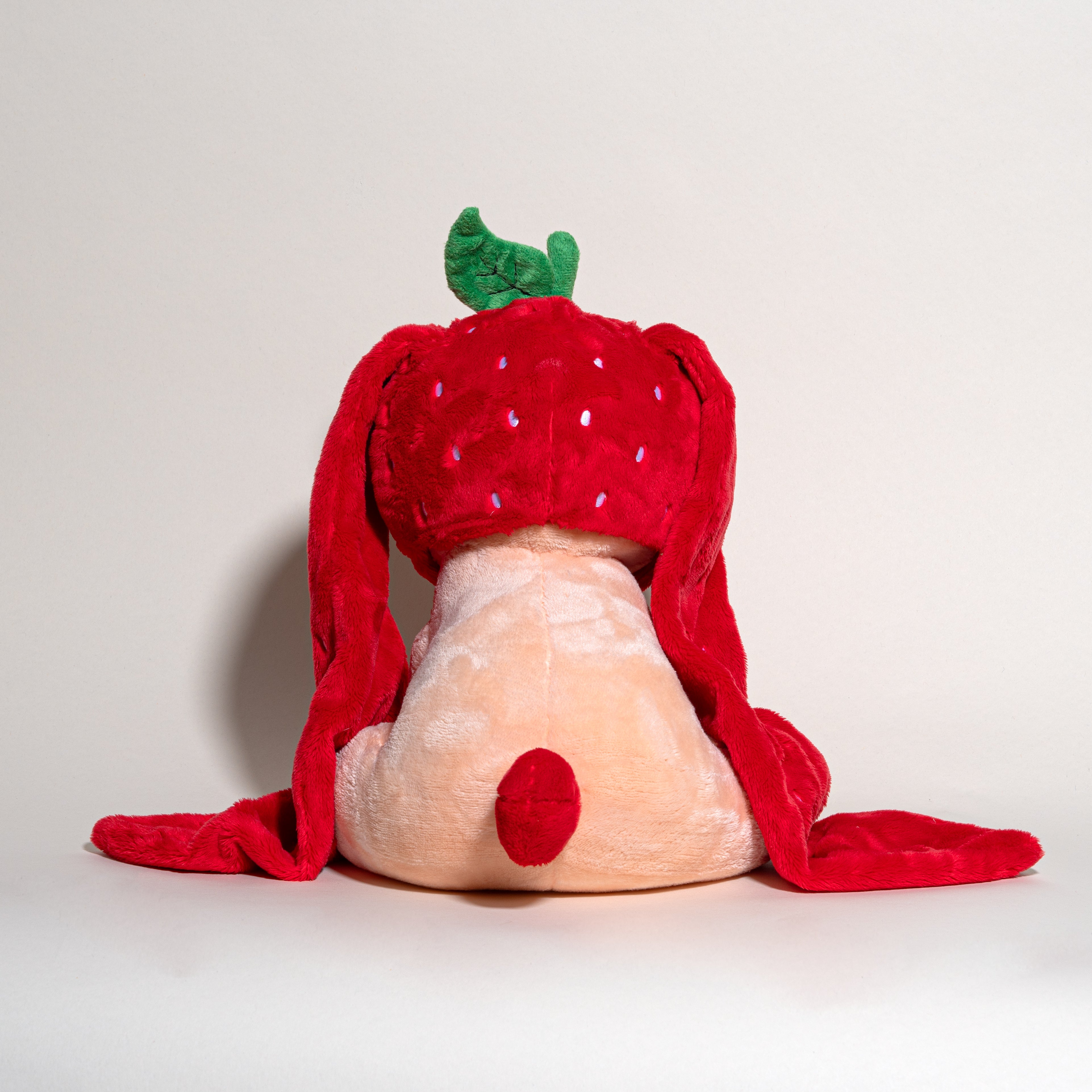 Bunny Pup - Benny Berry – Milk Jelli