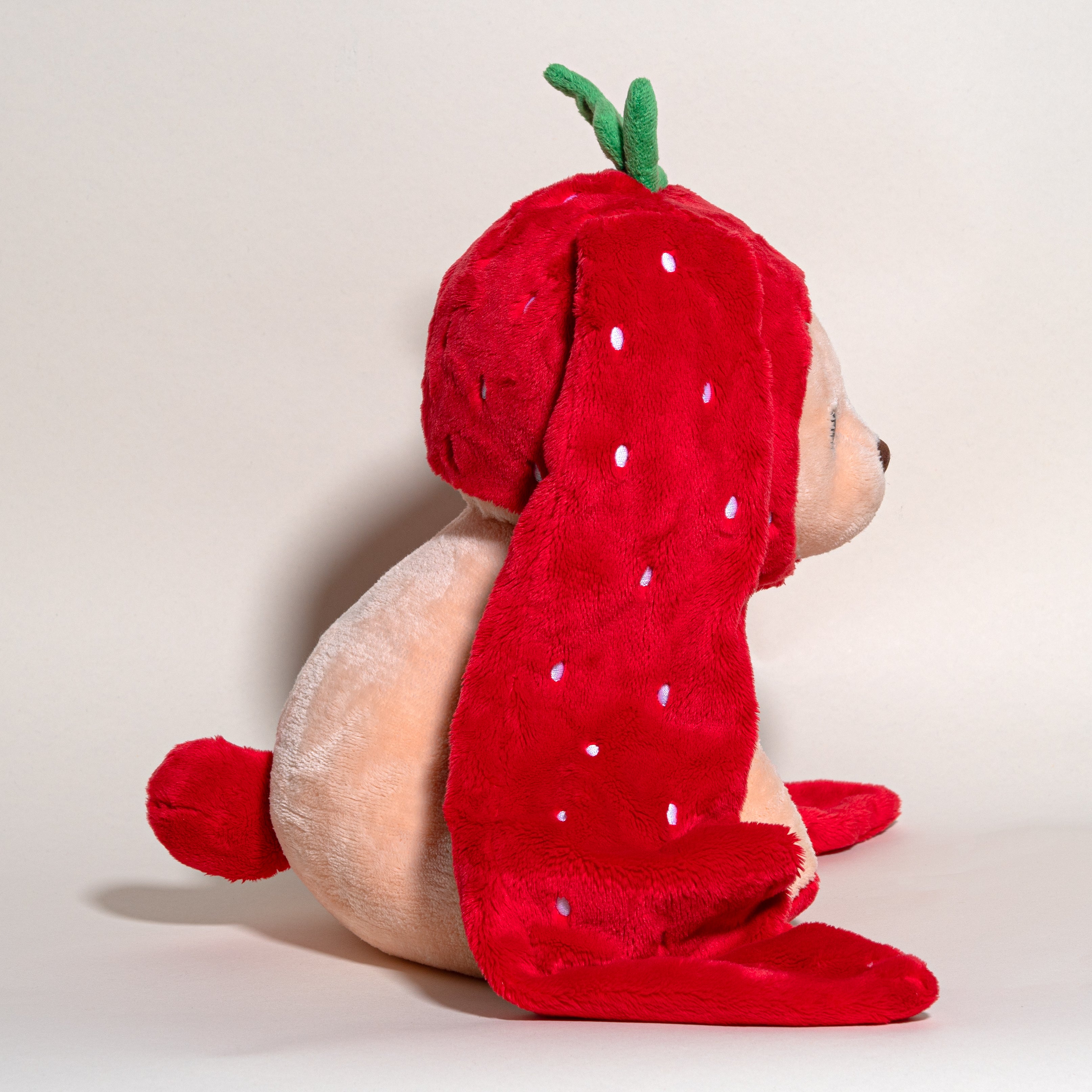 Bunny Pup - Benny Berry – Milk Jelli