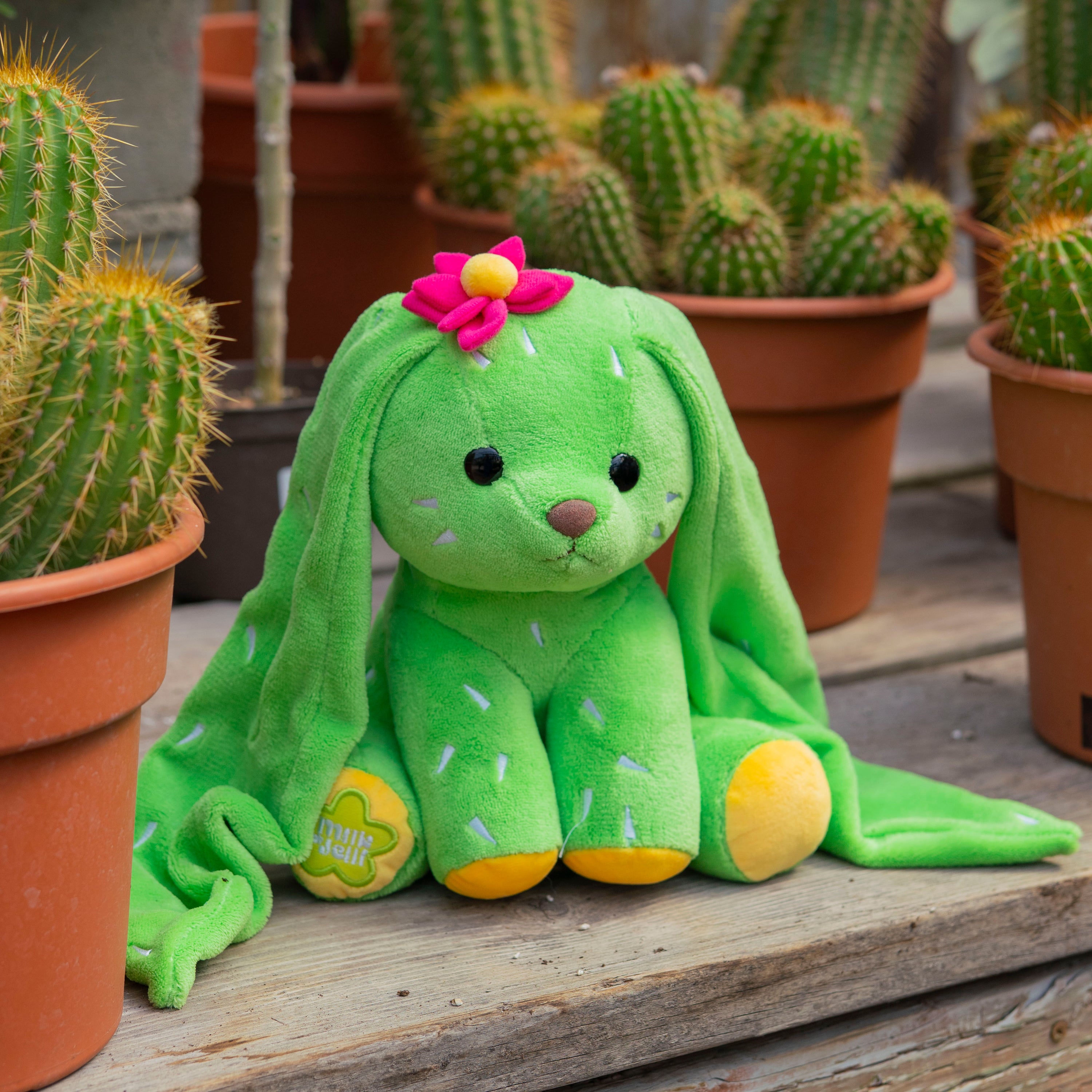 Bunny Pup - Prickle