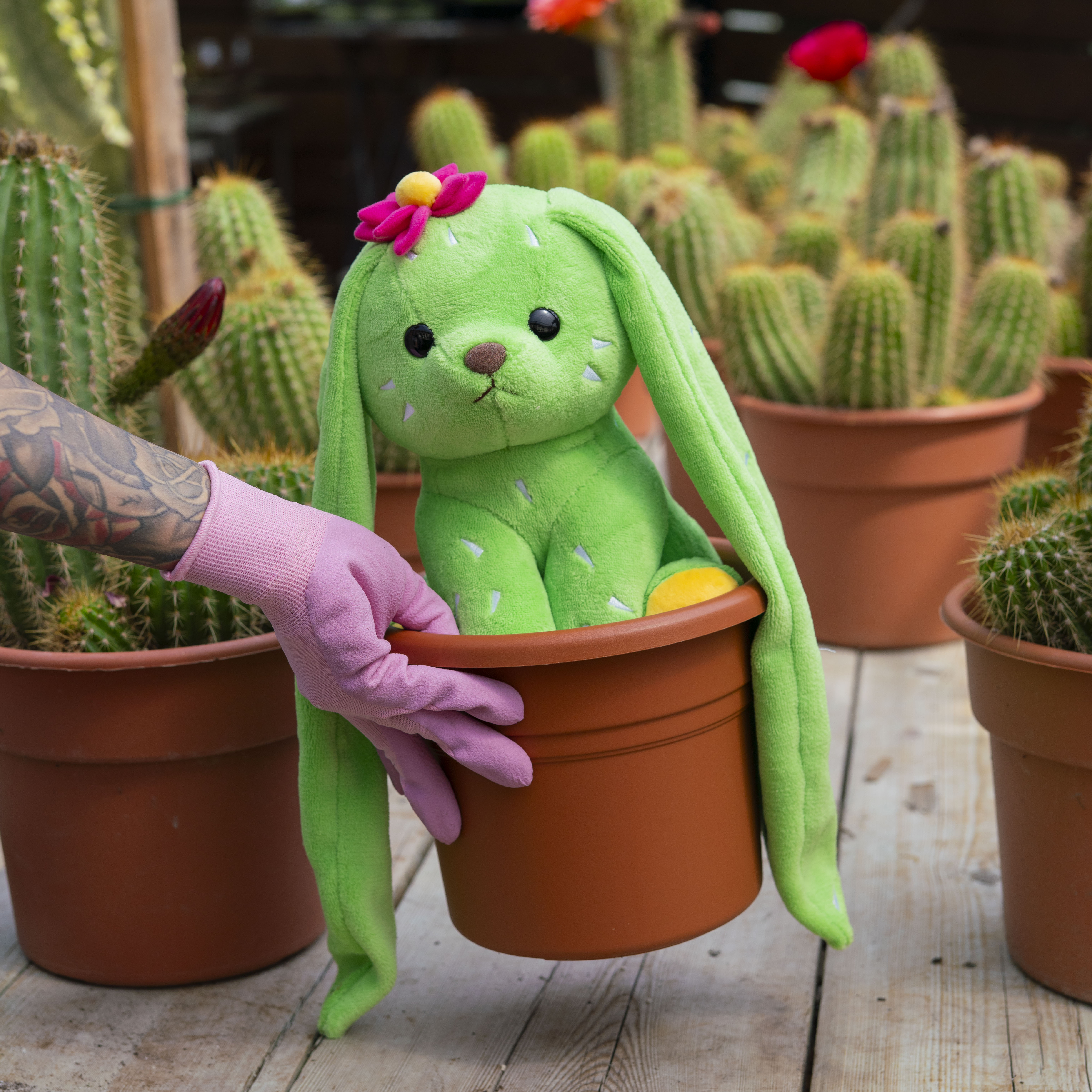 Bunny Pup - Prickle – Milk Jelli
