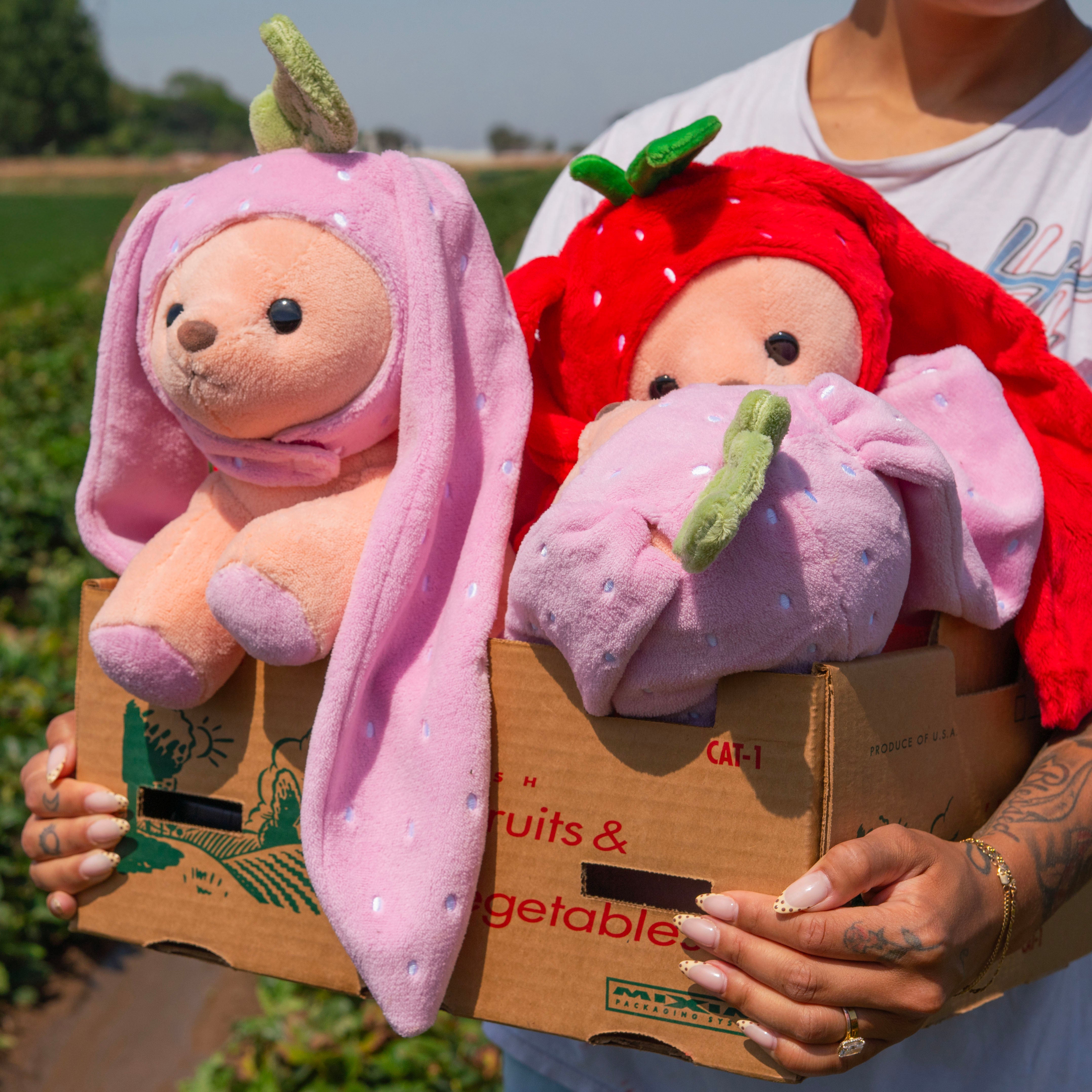 Bunny Pup - Bella Berry – Milk Jelli