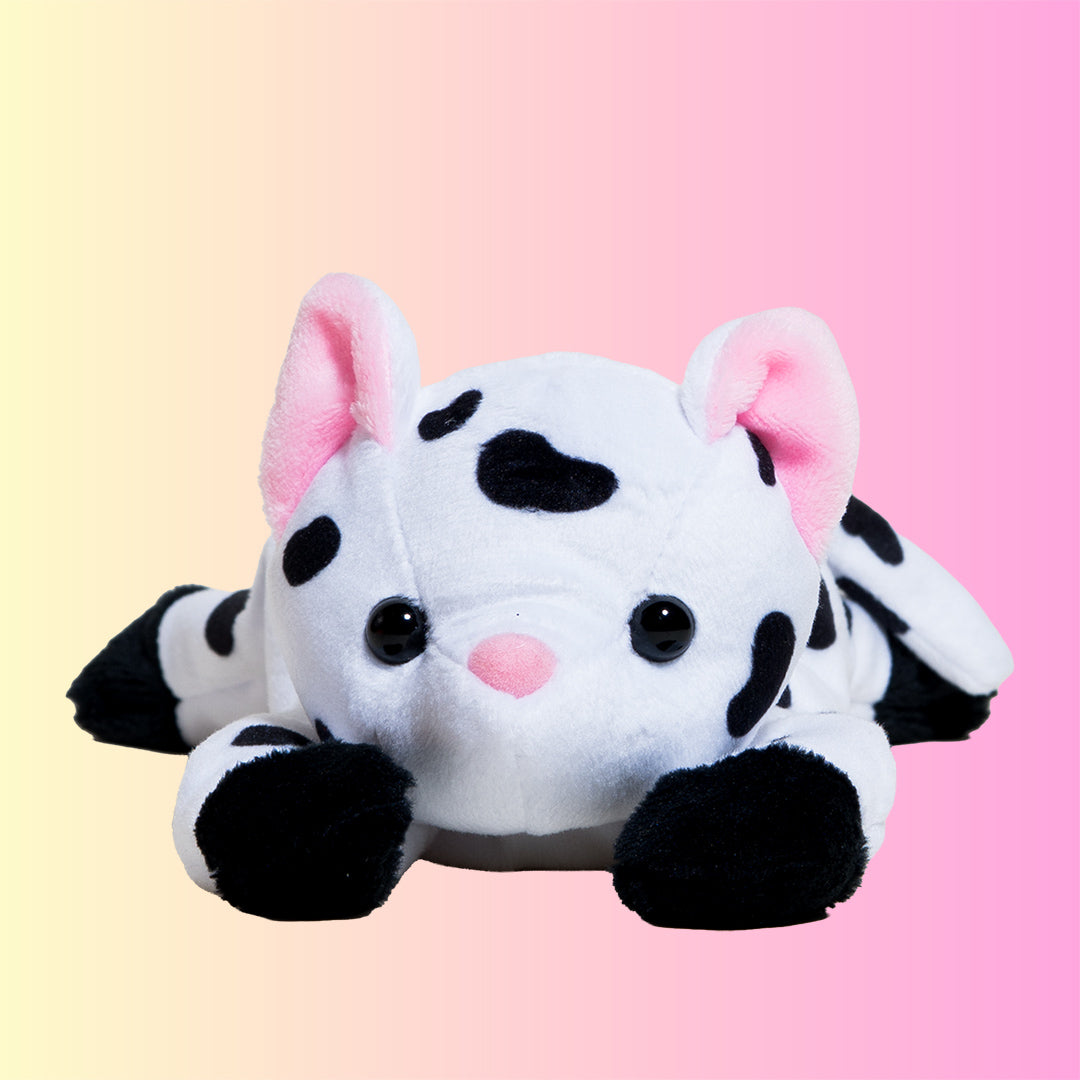 Cutie Cat - Daisy