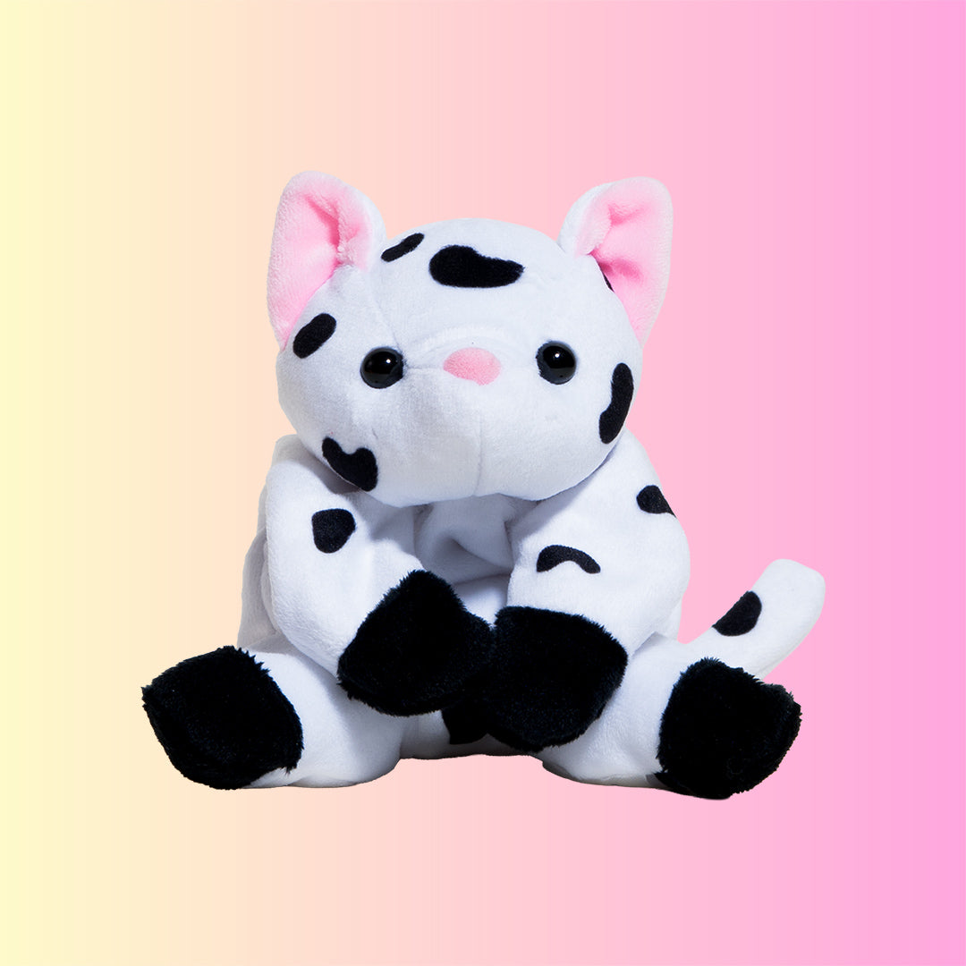 Cutie Cat - Daisy