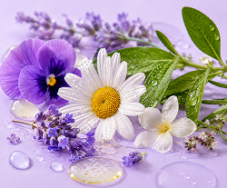 BOTANICAL EXTRACTS